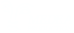 Medea Production